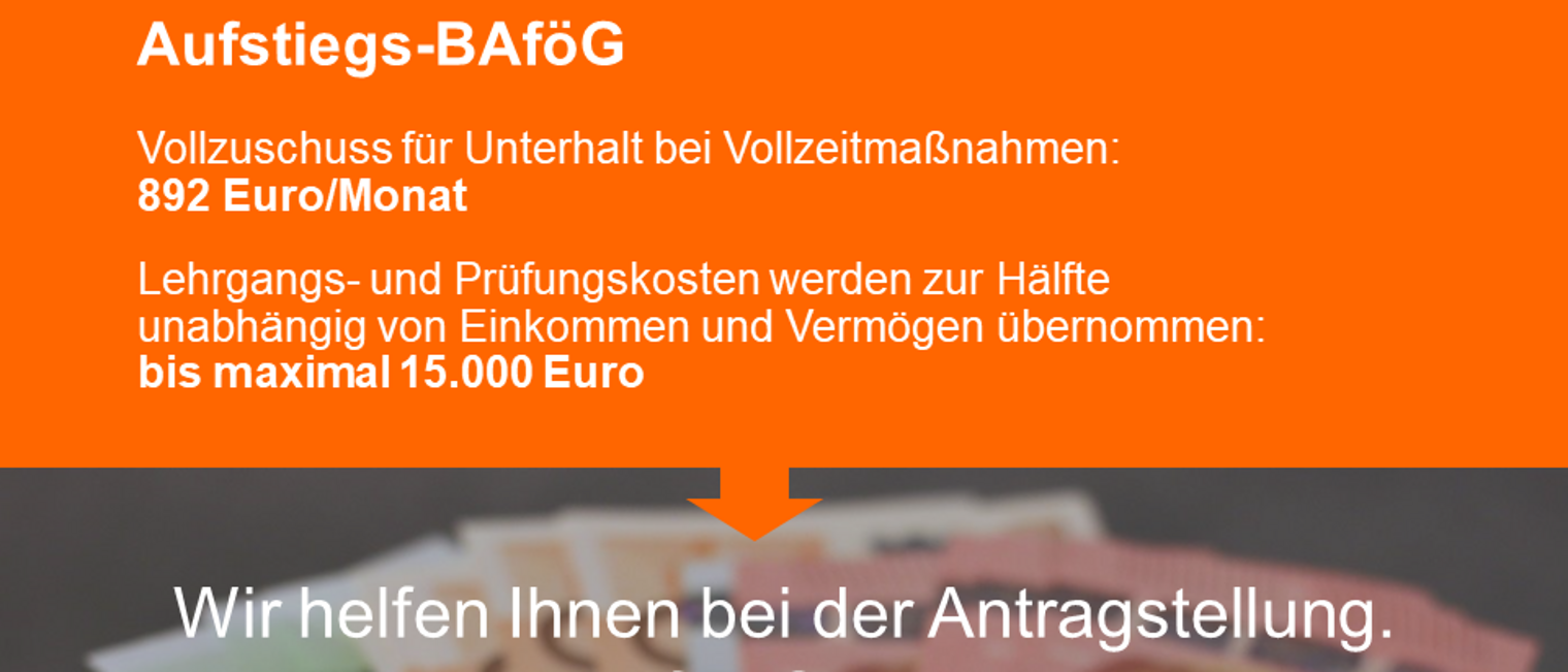 Grafik-3-1-BAfoeG-allgemein-orange_n