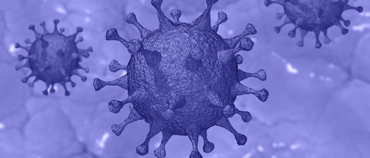 pixabay_lizenzfrei_corona_virus_2