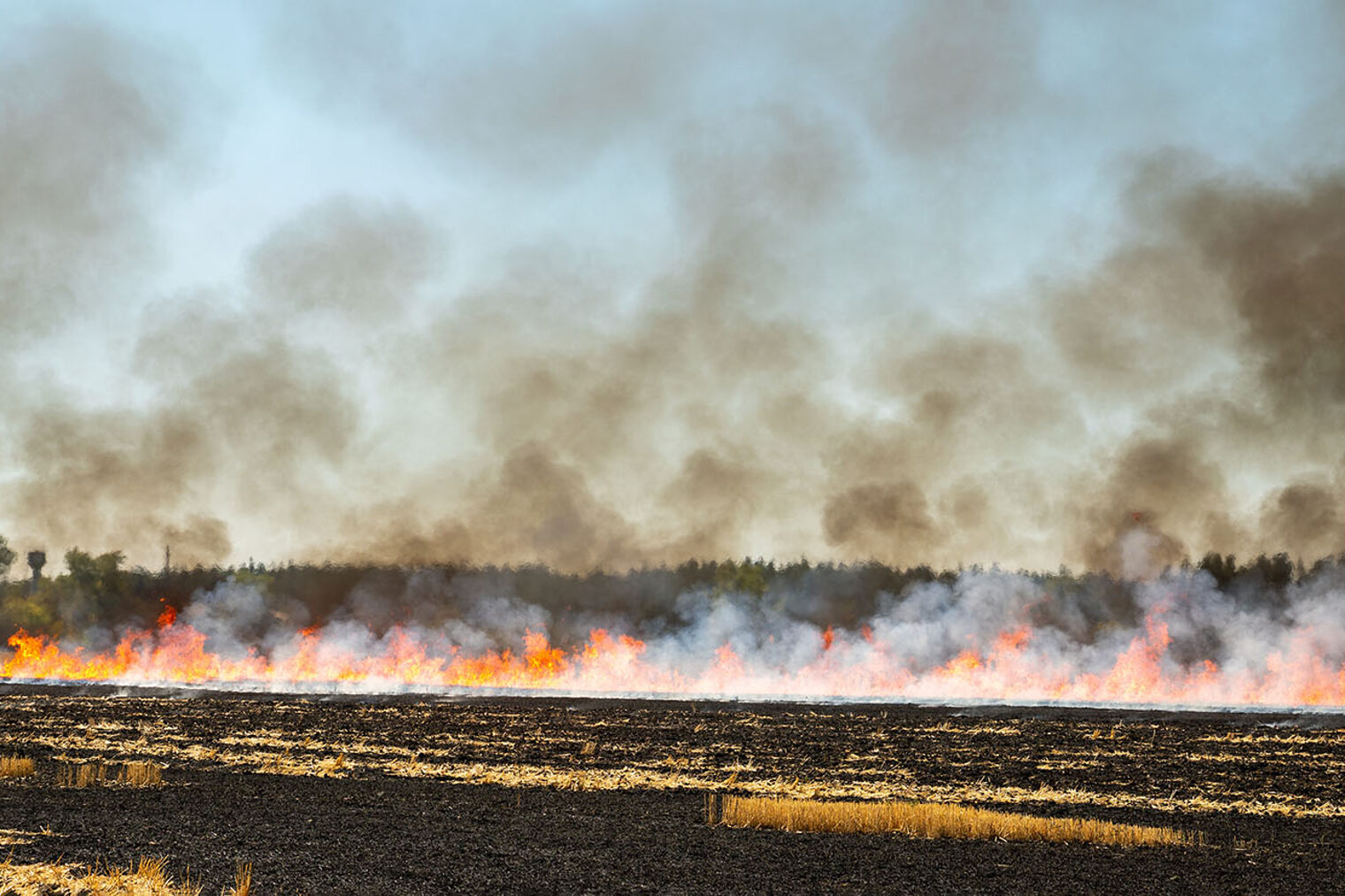 Bild zeigt einen Flächenbrand in einer Moorlandschaft. Das Feuer erfasst weite Flächen und es steigen dunkle Rauchwolken auf.